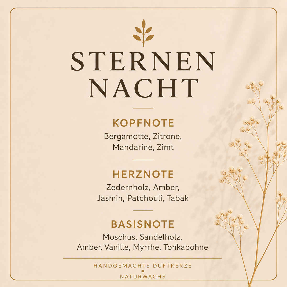 Duftbeschreibung Lumara Duftkerze Sternennacht