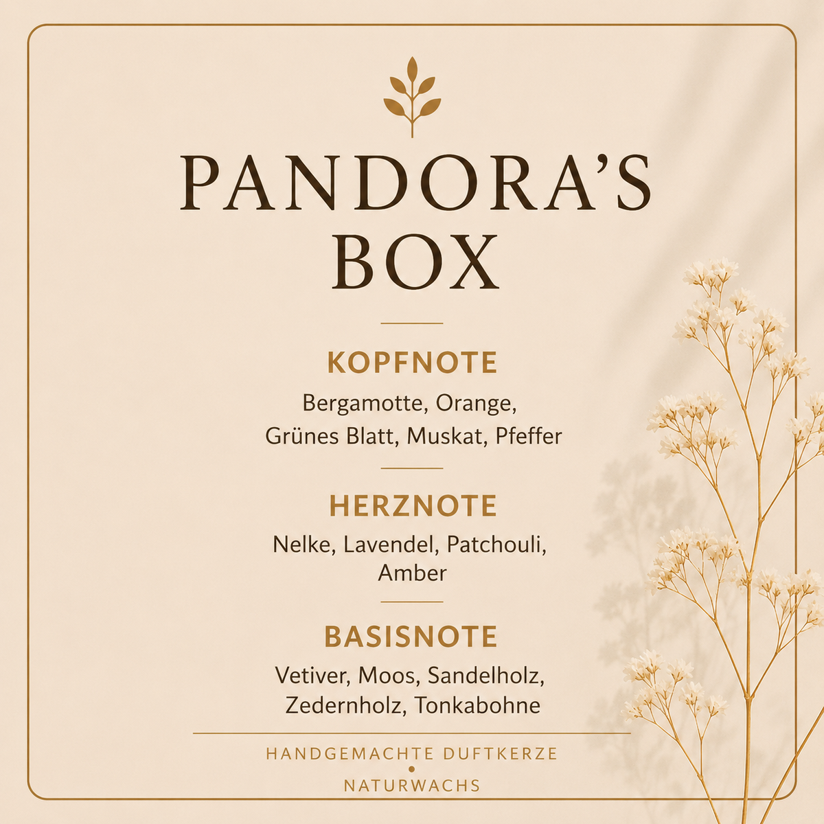 Duftbeschreibung Lumara Duftkerze Pandoras Box